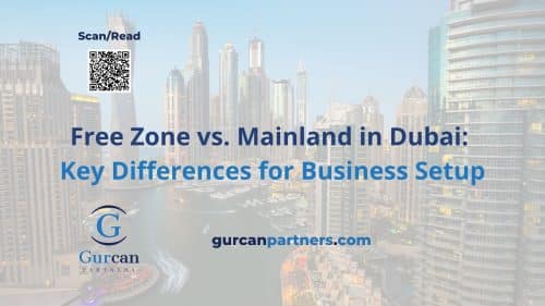 Free Zone vs. Mainland in Dubai Key Differences for Business Setup